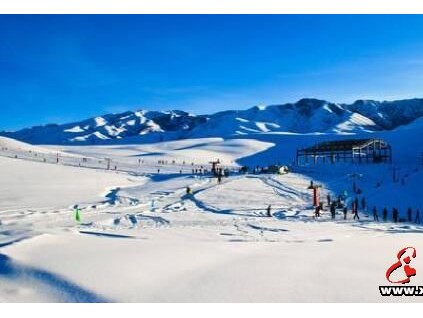 你是不是缺了一架通天梯？