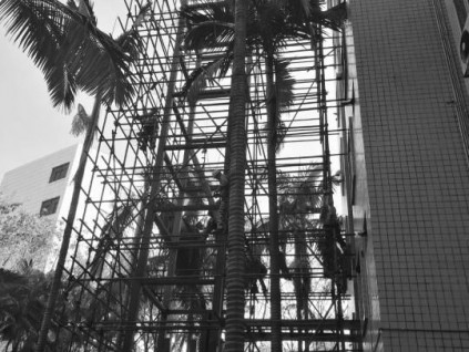 借國家級電梯產(chǎn)業(yè)基地優(yōu)勢 廣東中山市打造舊樓加裝電梯示范市