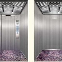 山東鼎亞電梯生產(chǎn)銷售乘客電梯