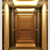 山東鼎亞電梯生產(chǎn)銷售家用電梯客用電梯載貨電梯