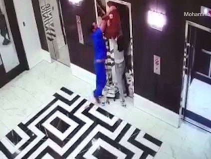 路過醫(yī)生反應迅速，救下牽繩被電梯夾住的小狗