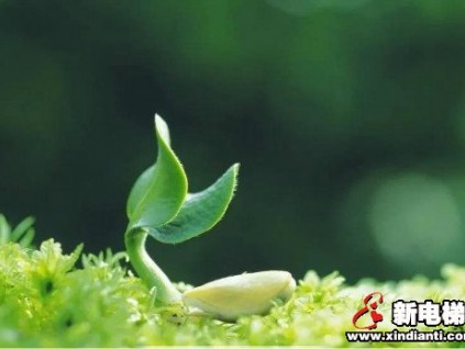 春土潤萬物，破土為新生 | 康力電梯2020年首期新人訓(xùn)