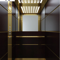 中墅電梯源頭定制復(fù)式樓觀光電梯二三四五六觀光電梯