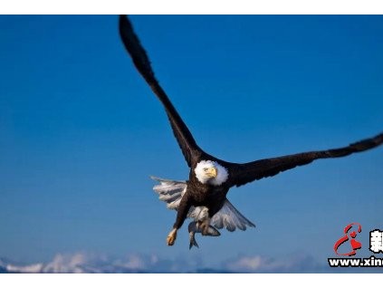 雄鷹展翅傲蒼穹！康力學(xué)院“雄鷹”管理培訓(xùn)班正式拉開帷幕