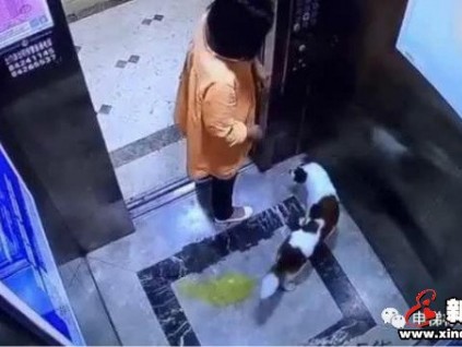 這條關(guān)于你的乘梯新規(guī)一定要讀！不良＂嗜好＂罰款2000！