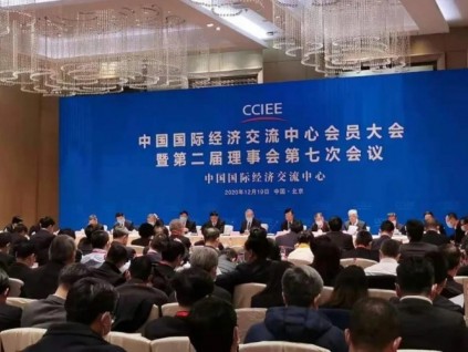 康力電梯董事長王友林榮任中國國際經(jīng)濟(jì)交流中心理事