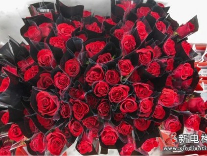 新電梯早新聞 3月3日，星期三，農(nóng)歷正月二十