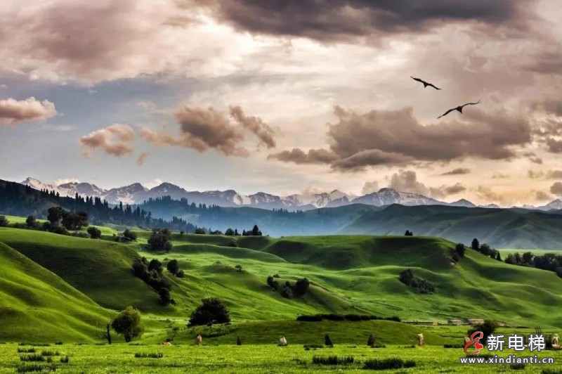 微信圖片_20210416211731