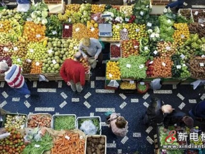 菱王工程 | 穩(wěn)！全力服務(wù)，穩(wěn)產(chǎn)保供，促進廣西“菜籃子”工程再上新臺階