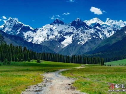 大美新疆，萊茵在這里等你！