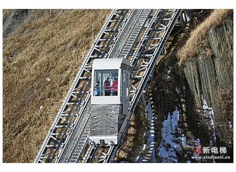 《新電梯》周刊2022年第06期