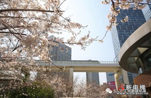 微信圖片_20220406150834