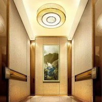 家用電梯-天津家用電梯安裝  天津乘客電梯定制