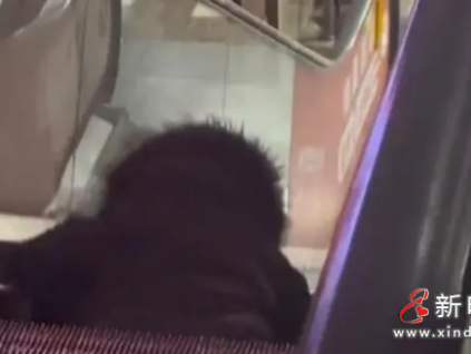 北京一超市自動(dòng)扶梯“吃人”？人已救出 事故原因正在排查