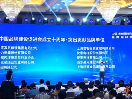 菱王電梯榮獲“突出貢獻(xiàn)品牌單位”榮譽(yù)，實(shí)力助推中國(guó)品牌建設(shè)