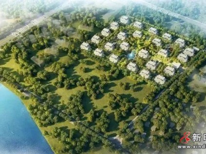 直隸?？?| 萊茵攜手匠心精筑理想海生活