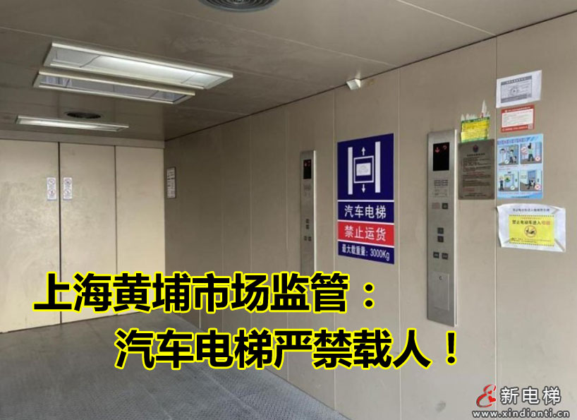 《新電梯》周刊2023年第42期