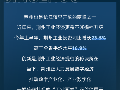 更穩(wěn)的守護(hù)｜省級重點(diǎn)項(xiàng)目，用菱王！