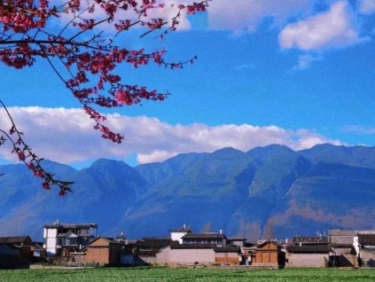 萊茵傳奇新篇章 | 云南首臺斜行電梯落地蒼山