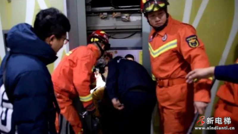 微信截圖_20231215112255