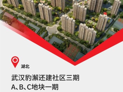 中建三局&40臺康力電梯，武漢重大民生工程！