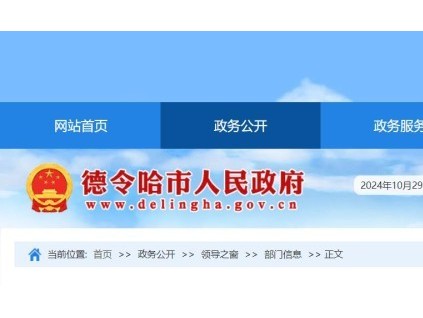 青海某德令哈市一公司電梯維?，F(xiàn)場(chǎng)工作人員少于兩人，被罰15000元