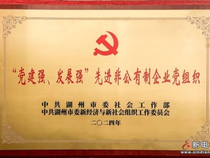 中共森赫電梯股份有限公司總支部委員會獲評市級“黨建強(qiáng)、發(fā)展強(qiáng)”先進(jìn)非公有制企業(yè)黨組織