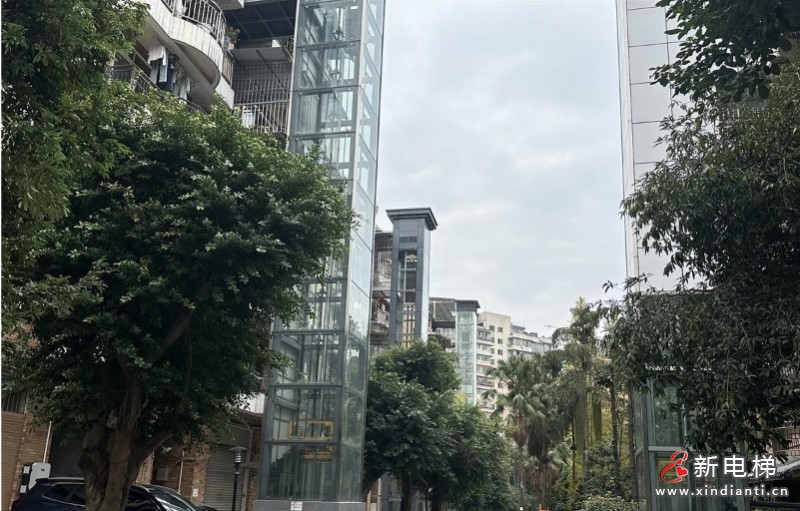 微信截圖_20241210104524