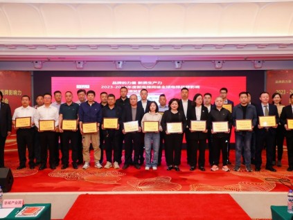 中國新電梯網(wǎng)絡2024－2025年度中國電梯安裝維保模范單位TOP30、模范個人TOP10評選推薦報名開始