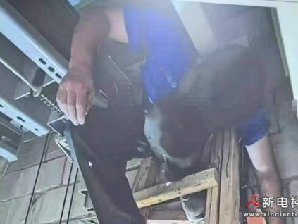 廣東東莞 一人單獨在井道內維保時 未關停開關 未戴頭盔系安全帶 被擠壓身亡