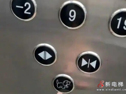 沈陽一小區(qū)電梯增設(shè)小狗按鈕，人性化設(shè)計化解鄰里矛盾
