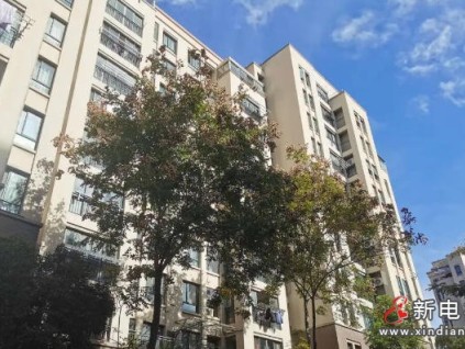 38天煥新30臺(tái)電梯！上海楊行鎮(zhèn)創(chuàng)老舊小區(qū)改造‘加速度’