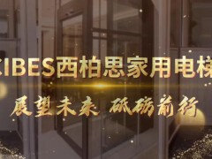 西柏思CIBES展望未來(lái) 砥礪前行