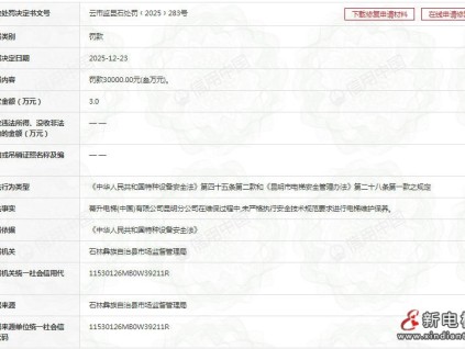 蒂升電梯昆明分公司被罰叁萬元