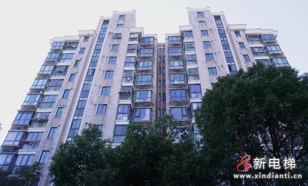 ScreenShot_2026-02-13_145509_547